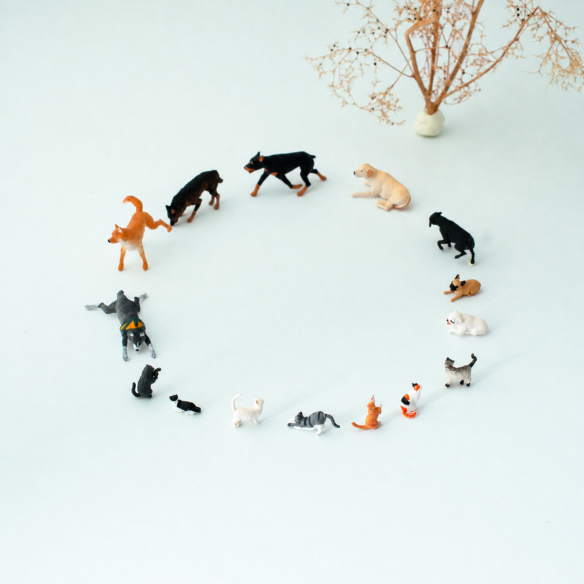 1:64 Cats & Dogs Miniature Animal Figure Series - Animal Series Complete Figure Set