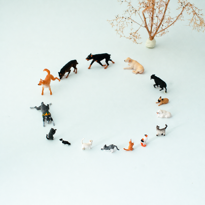 1:64 Cats & Dogs Miniature Animal Figure Series - Animal Series Complete Figure Set